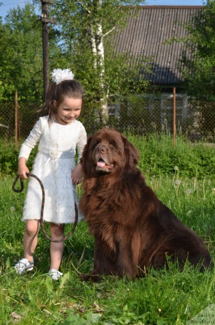 Фотография № 98618