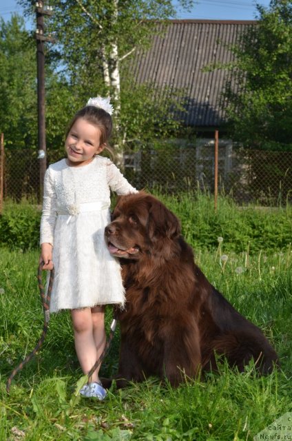 Фотография № 98624