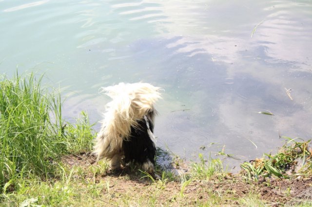 Фотография № 98631