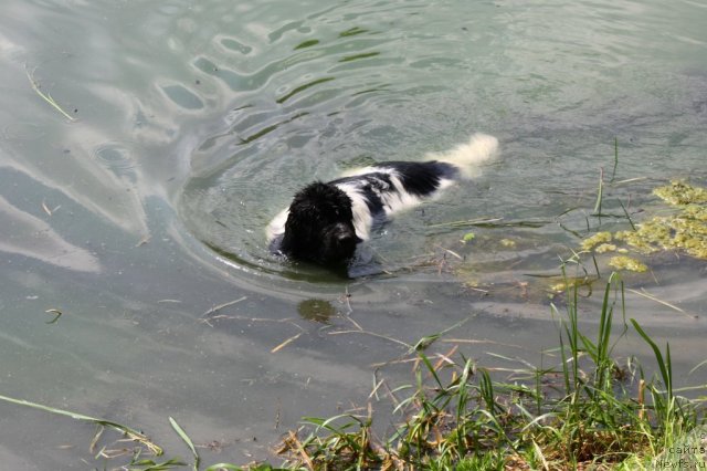 Фотография № 98634