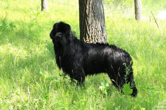 Фотография № 98635