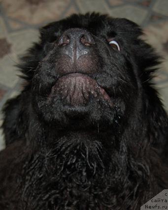 Фотография № 9864