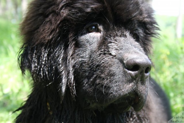 Фотография № 98640