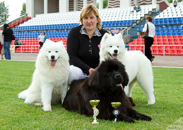 Фотография № 98685