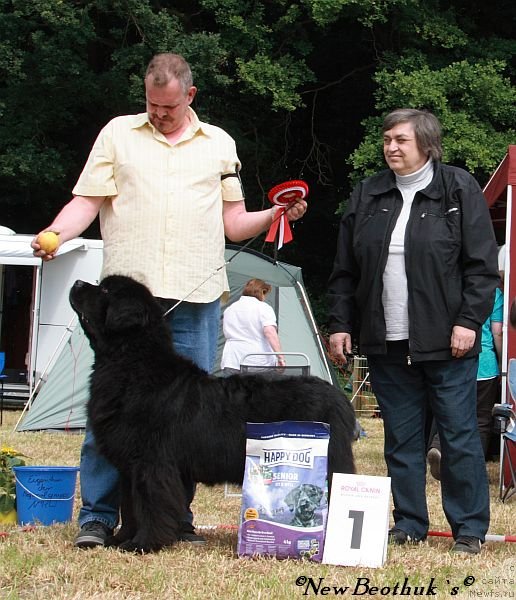 Фотография № 98687