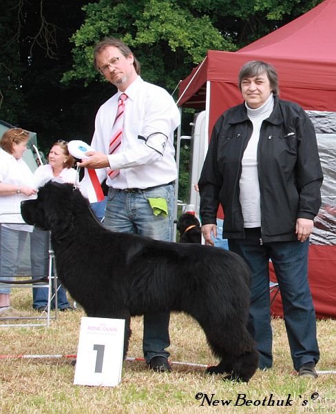 Фотография № 98688