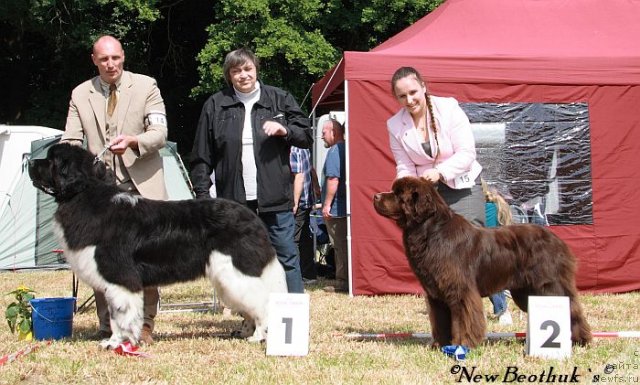 Фотография № 98689