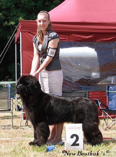 Фотография № 98695