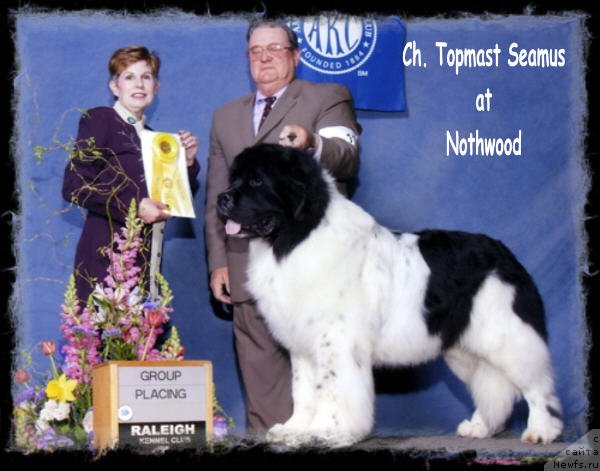 Фото: ньюфаундленд Topmast's Seamus at Northwood
