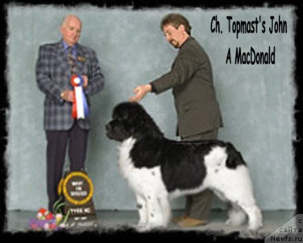 Фото: ньюфаундленд Topmast's John A MacDonald