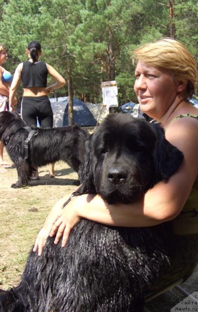 Фото: ньюфаундленд Лесная Сказка Лунная Соната