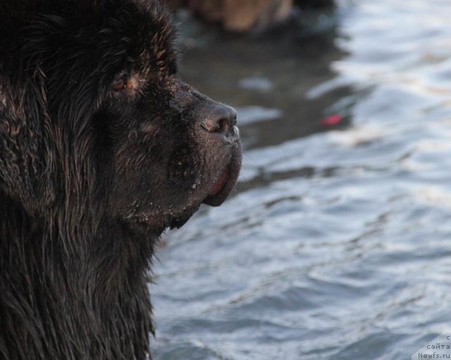 Фотография № 98766