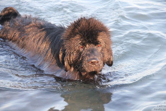 Фотография № 98767