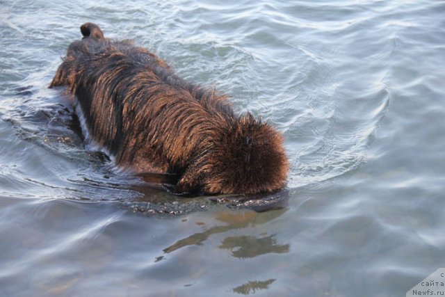 Фотография № 98768