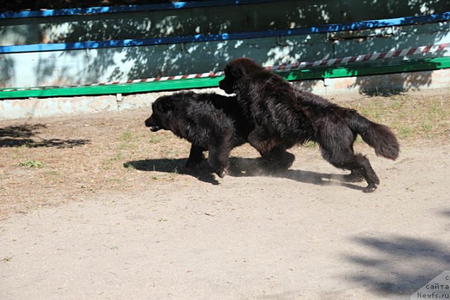 Фотография № 98769