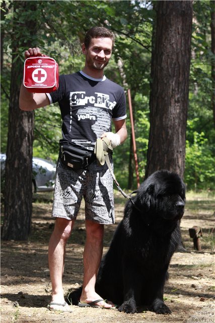 Фото: ньюфаундленд Акватория Келвин Куинджи