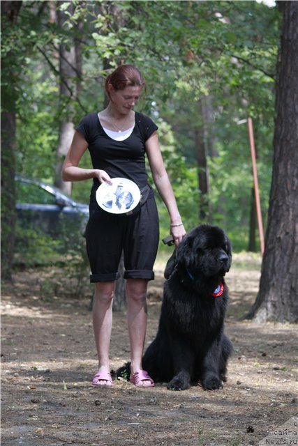 Фото: [p560] и, ньюфаундленд Акватория Келвин Куинджи