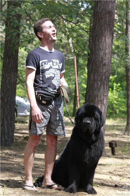 Фото: ньюфаундленд Акватория Келвин Куинджи