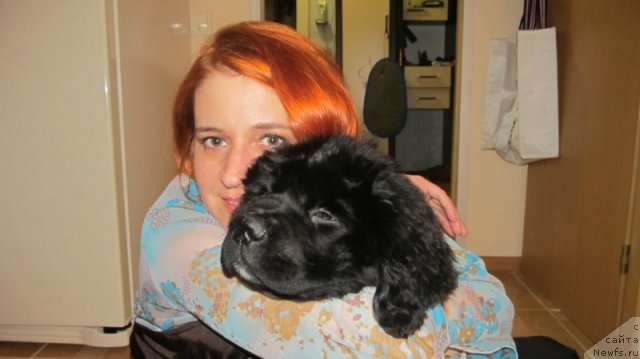 Фотография № 98828