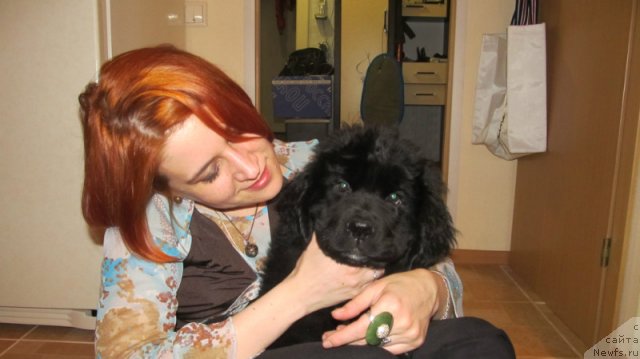 Фотография № 98829