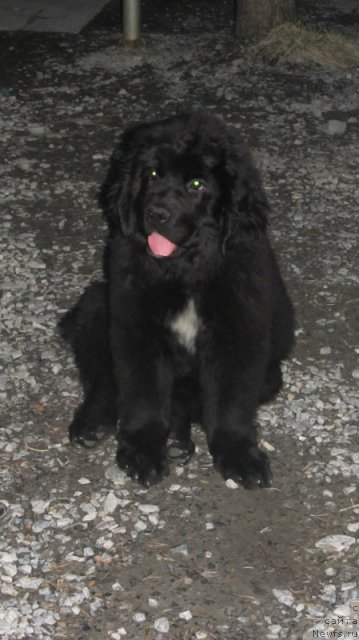 Фотография № 98831