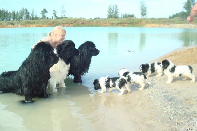 Фотография № 98908