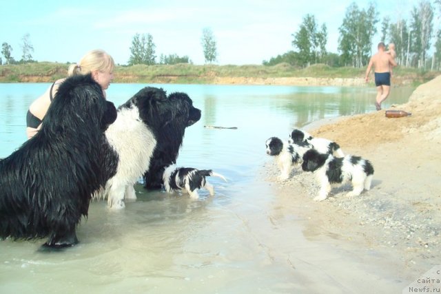 Фотография № 98909