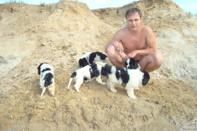 Фотография № 98920