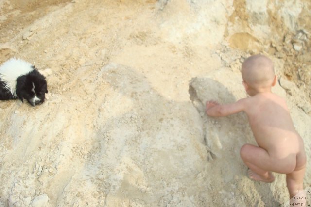 Фотография № 98934