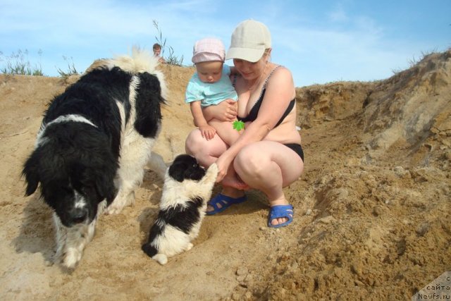 Фотография № 98937