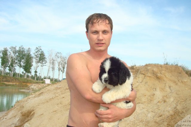 Фотография № 98938