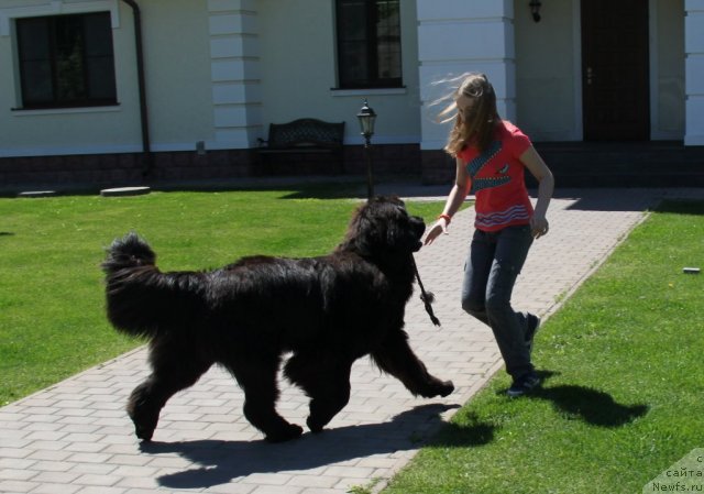 Фотография № 98972