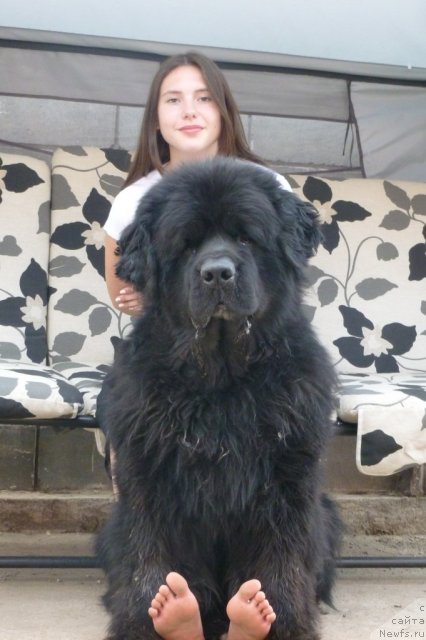 Фотография № 98990