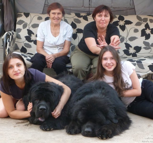 Фотография № 98991