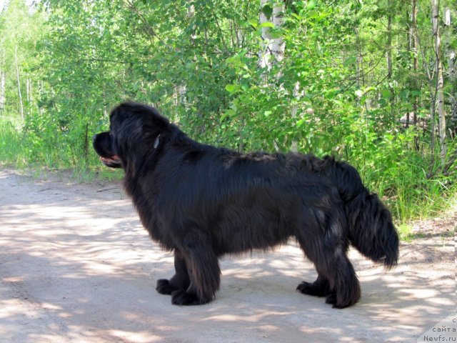 Фотография № 99014