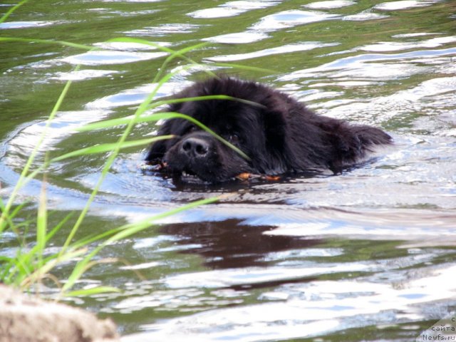 Фотография № 99037