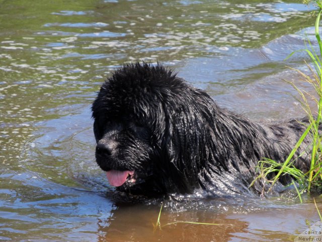 Фотография № 99044