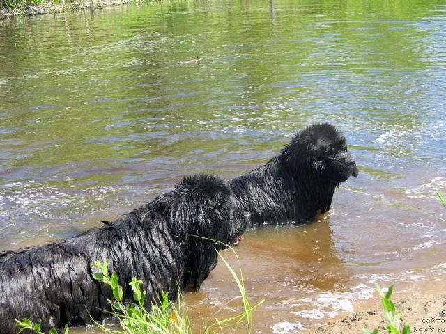 Фотография № 99048