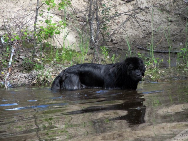 Фотография № 99051