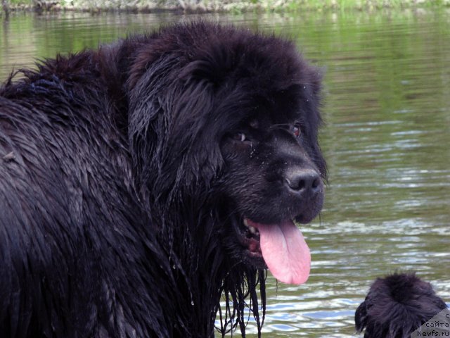 Фотография № 99052