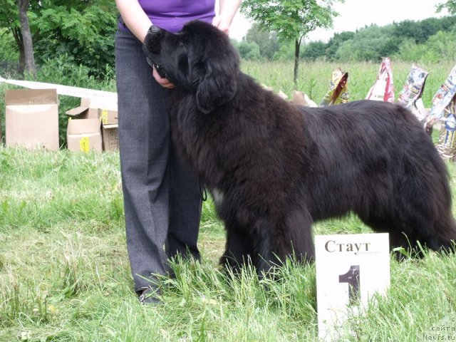 Фотография № 99102