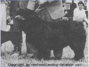 Фото: ньюфаундленд Dryads Harbor Light Lookout