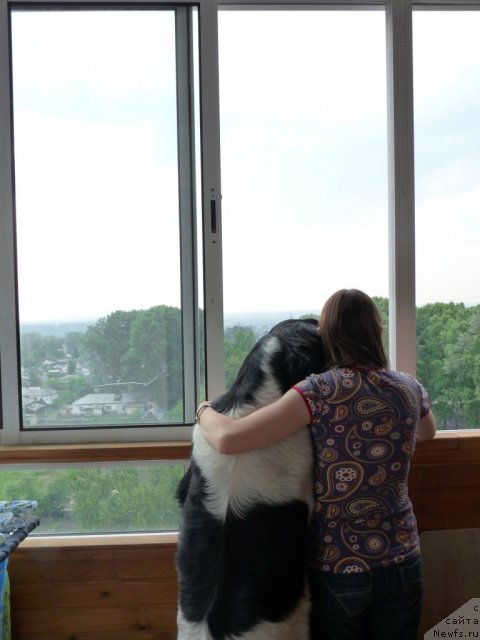 Фотография № 99109