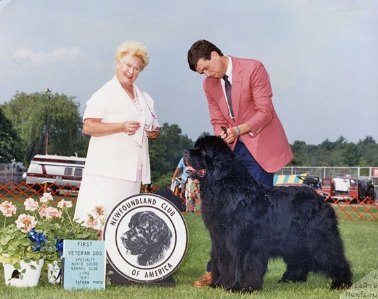 Фото: ньюфаундленд Schooners Yosef of Newton Ark