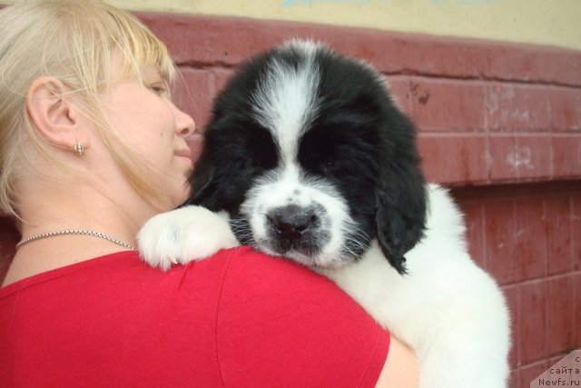 Фотография № 99162