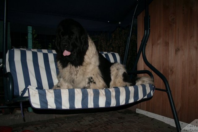 Фотография № 99200