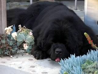 Фотография № 99230