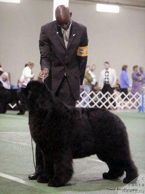 Фотография № 99231