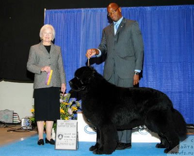 Фотография № 99232