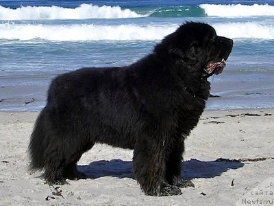 Фотография № 99234